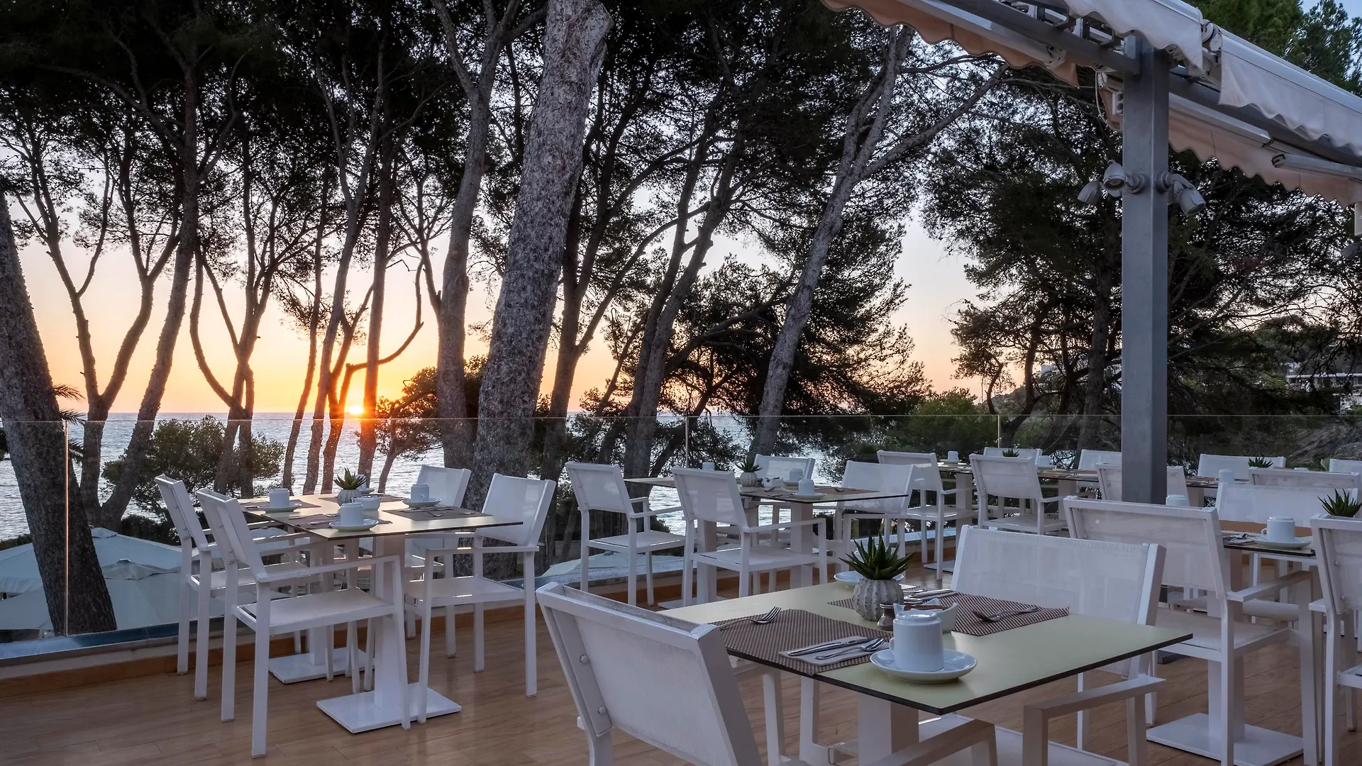 Hotel Iberostar Pinos Park Font de sa Cala