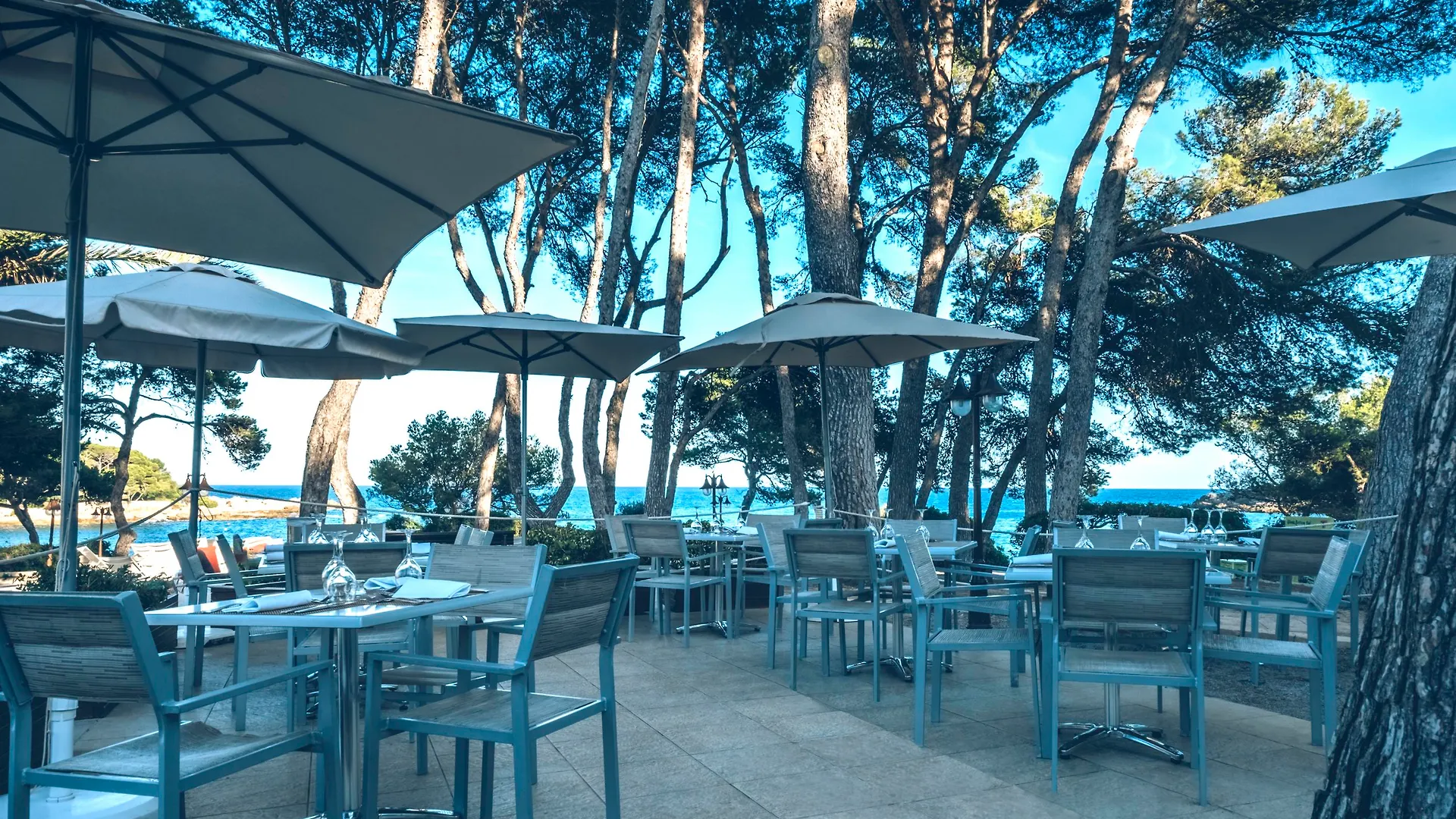 Hotel Iberostar Pinos Park Font de sa Cala