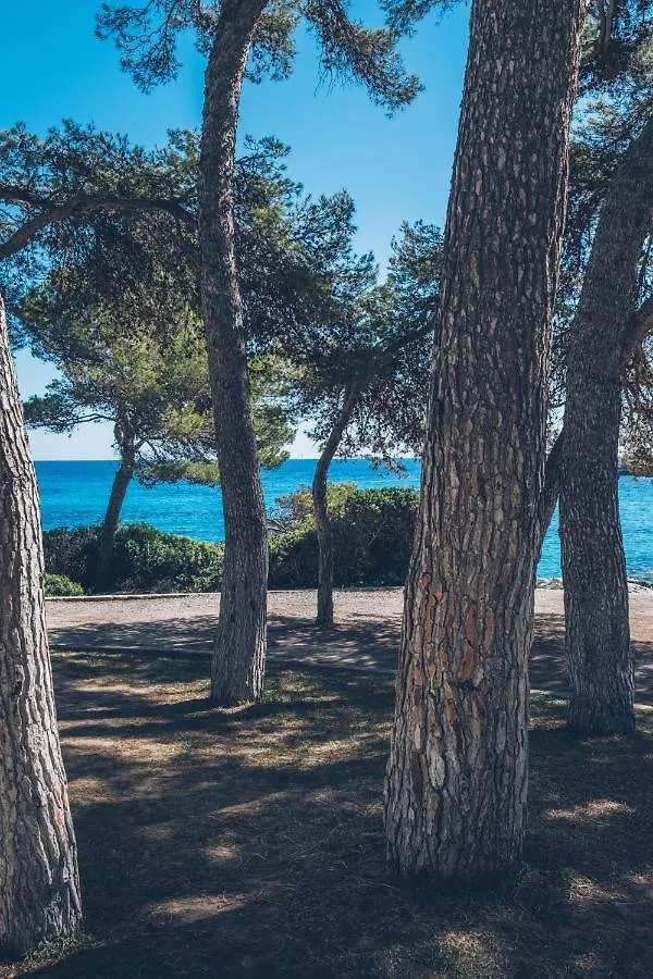 ****  Hotel Iberostar Pinos Park Font de sa Cala España